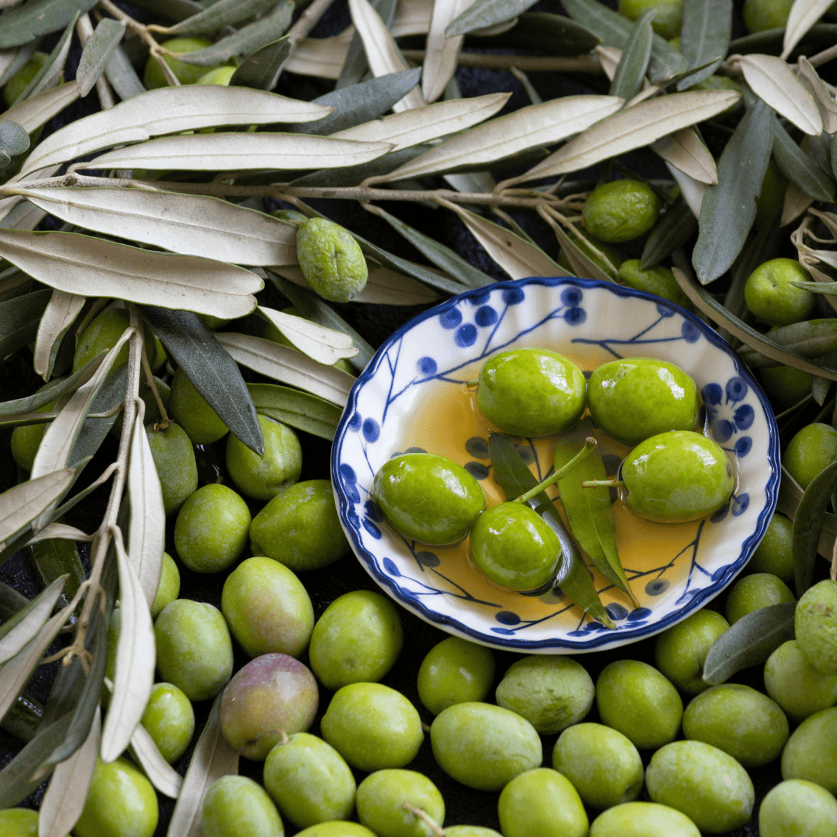 Understanding Polyphenol Counts in Extra Virgin Olive Oil: A Guide