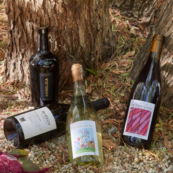 THE VINEYARD<br><span>Wine</span>