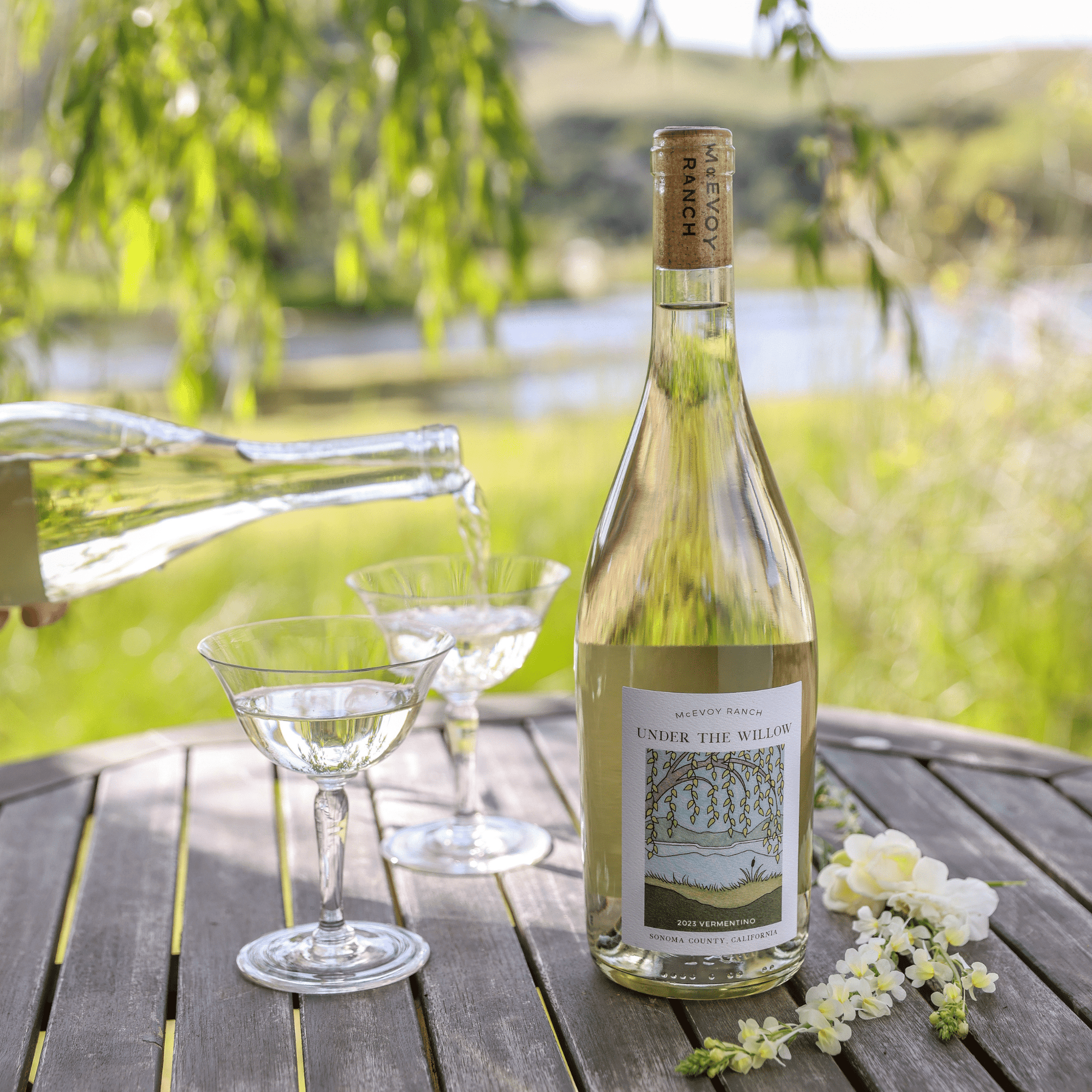 2023 Under the Willow Vermentino