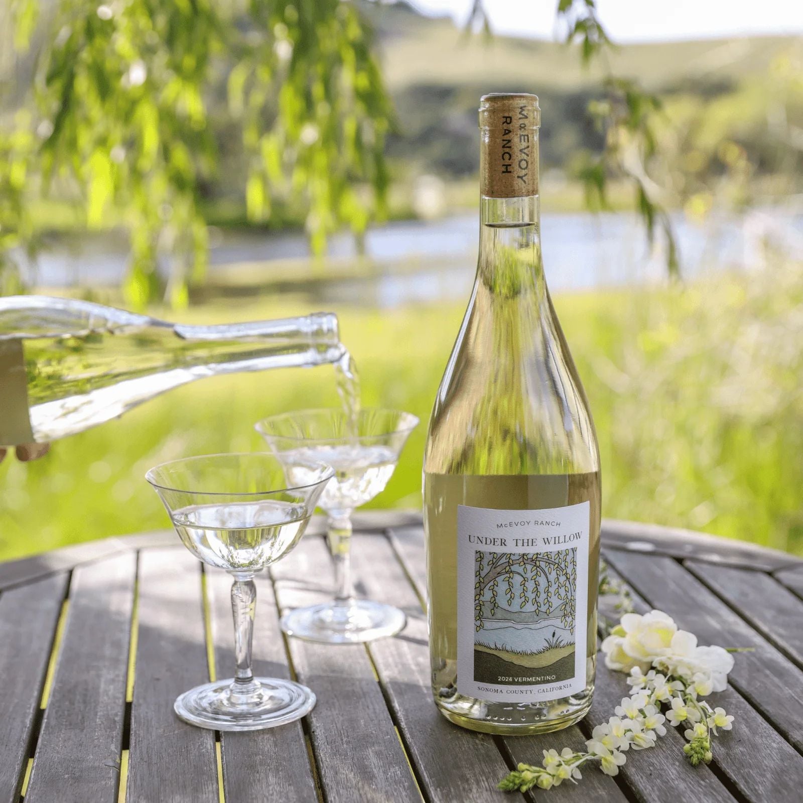 2024 Under the Willow Vermentino