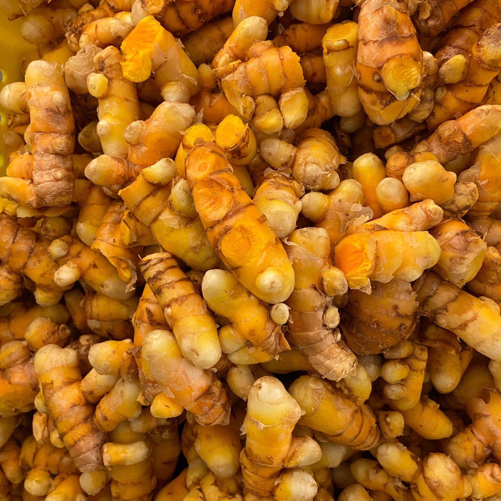 Organic Ginger Turmeric Olive Oil