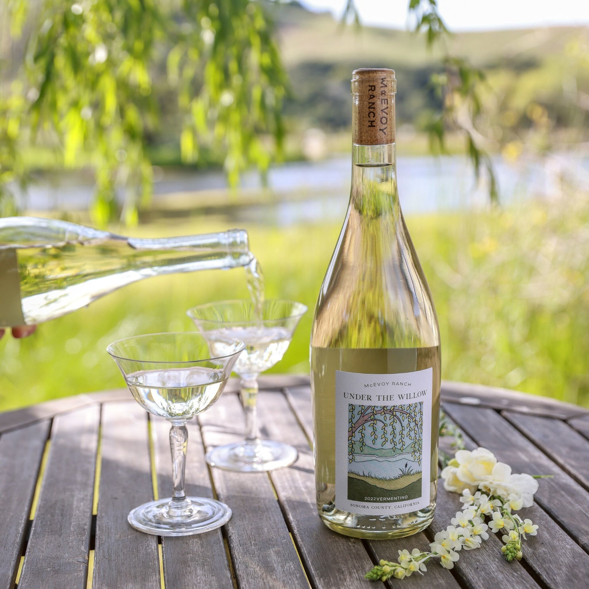 2022 Under The Willow Vermentino