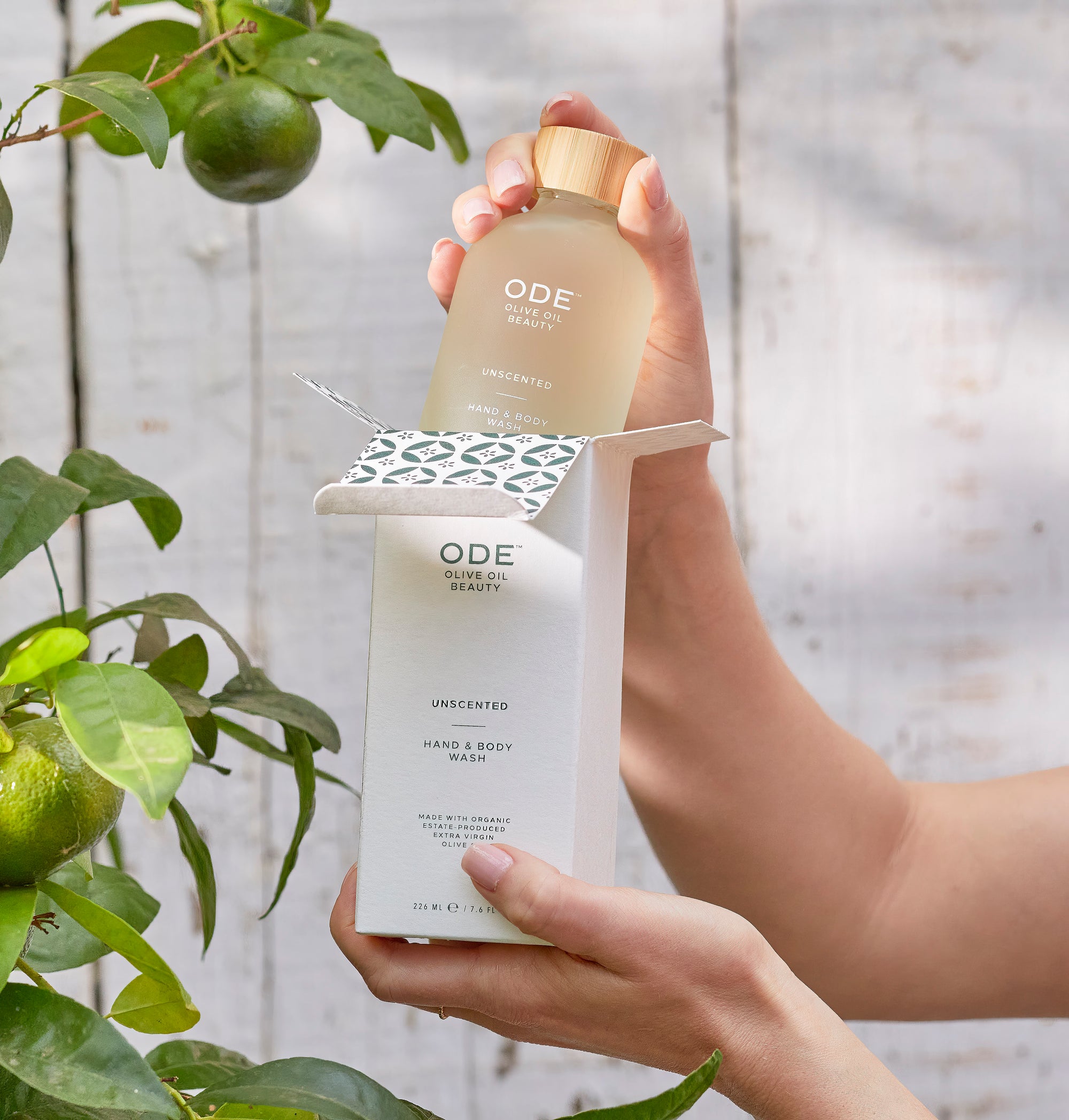 Hand & Body Wash