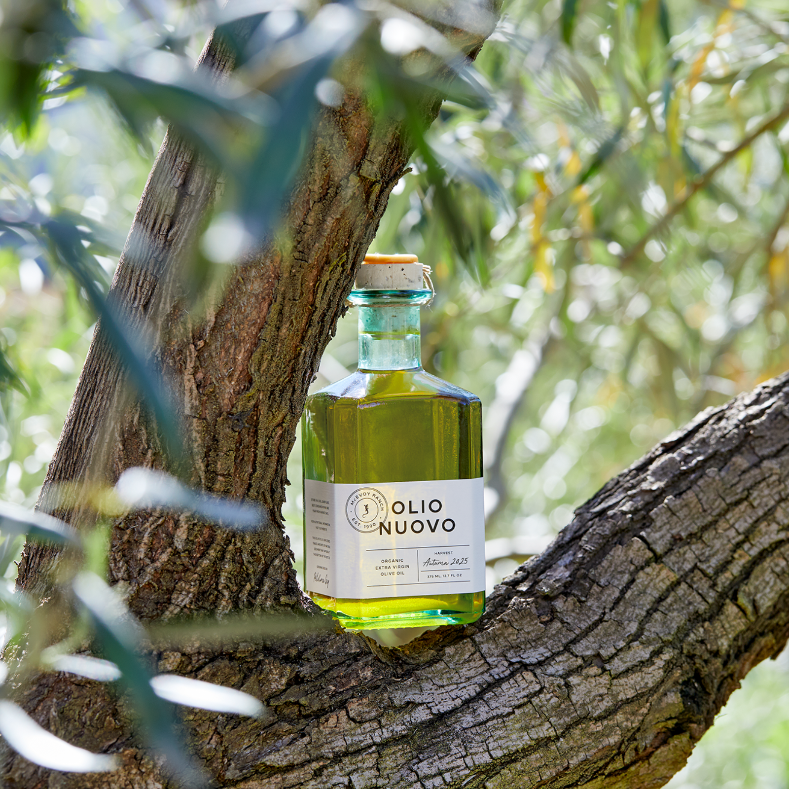 Organic Olio Nuovo Olive Oil