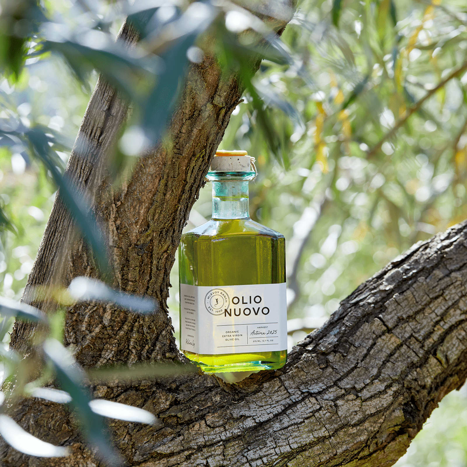 Organic Olio Nuovo Olive Oil