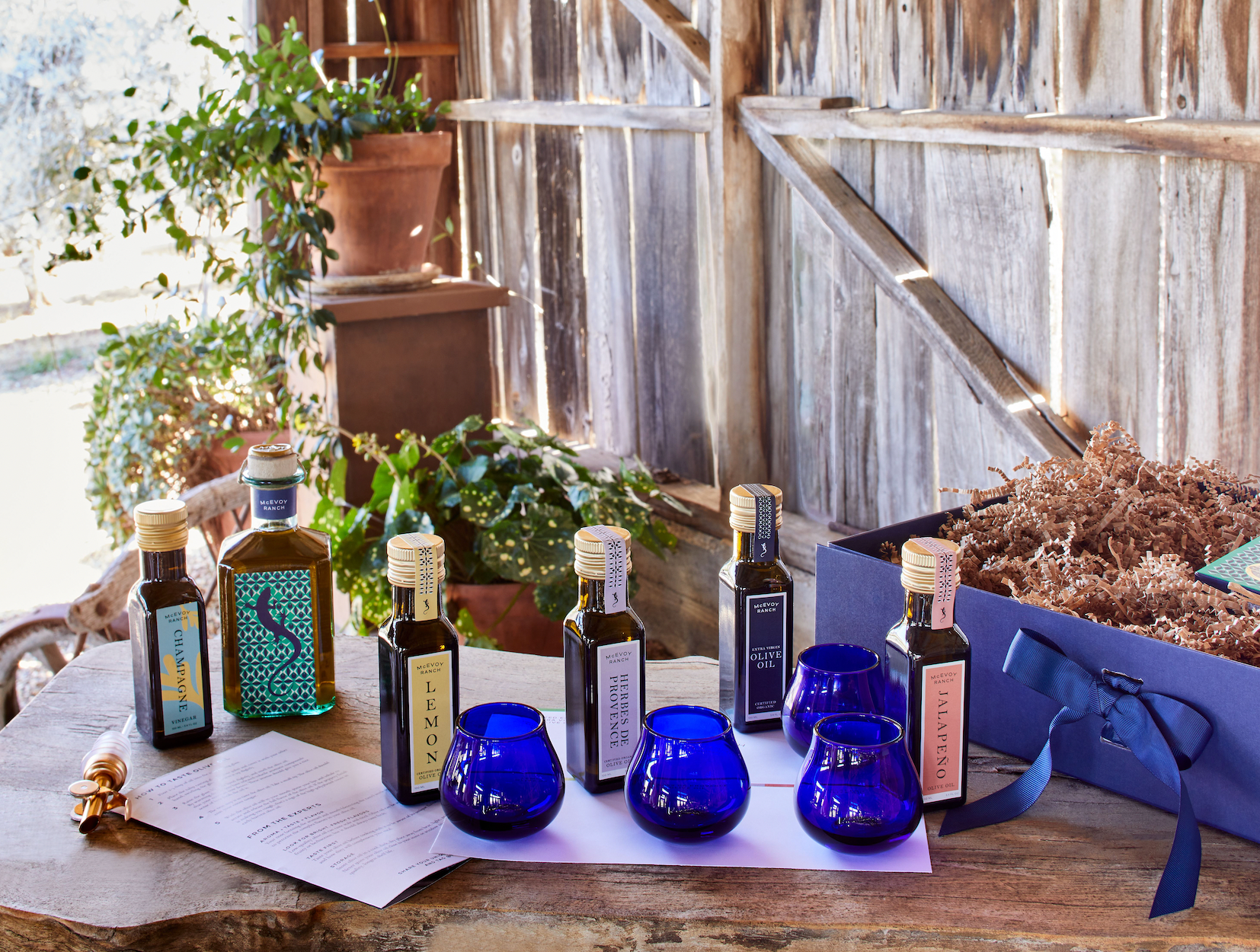 The Ultimate Home Olive Oil Tasting Kit
