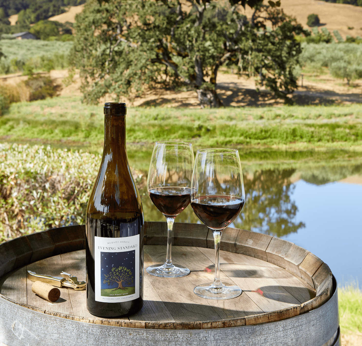 2021 Evening Standard Pinot Noir