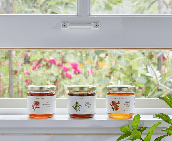 Orange Blossom Honey - McEvoy Ranch