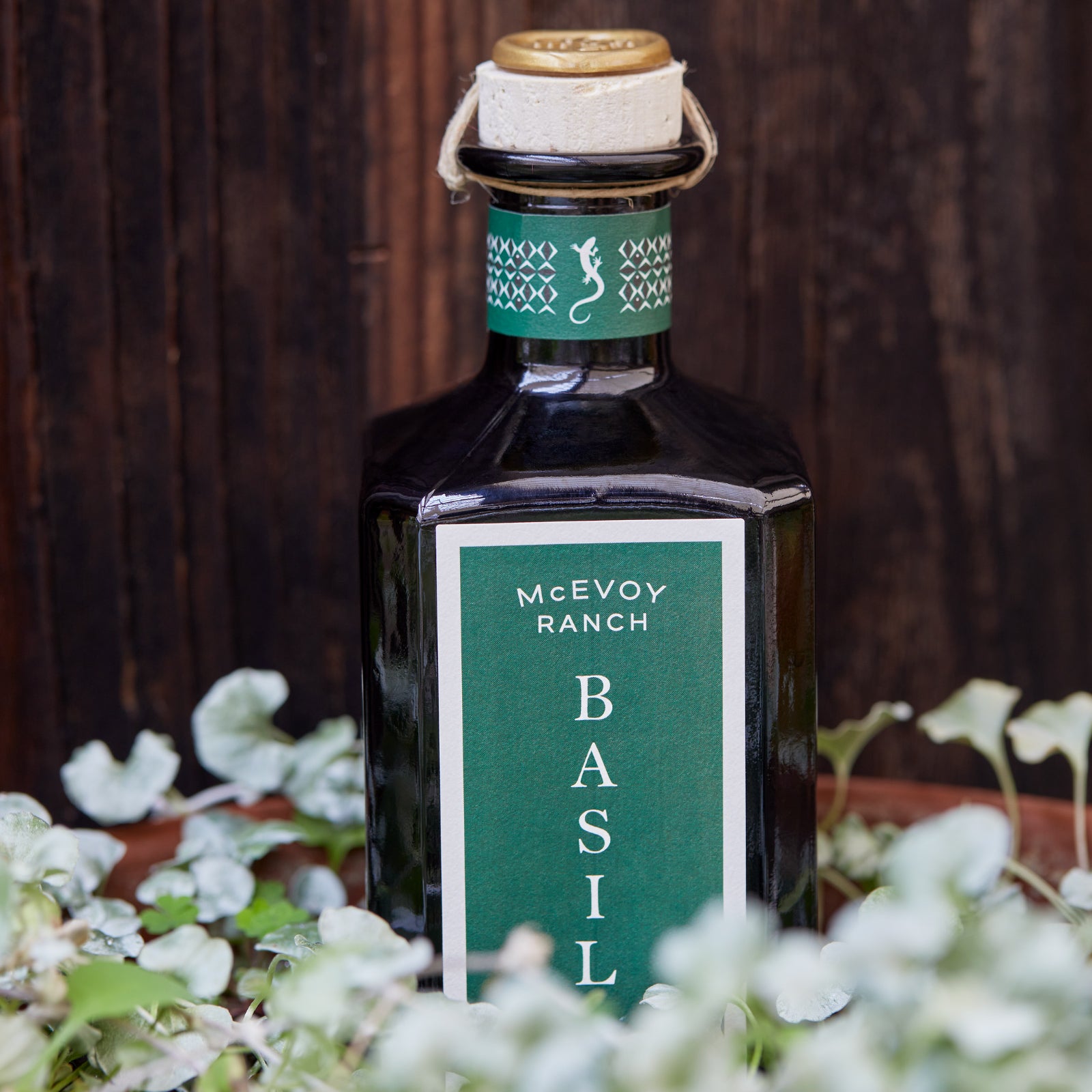 Basil Olive Oil