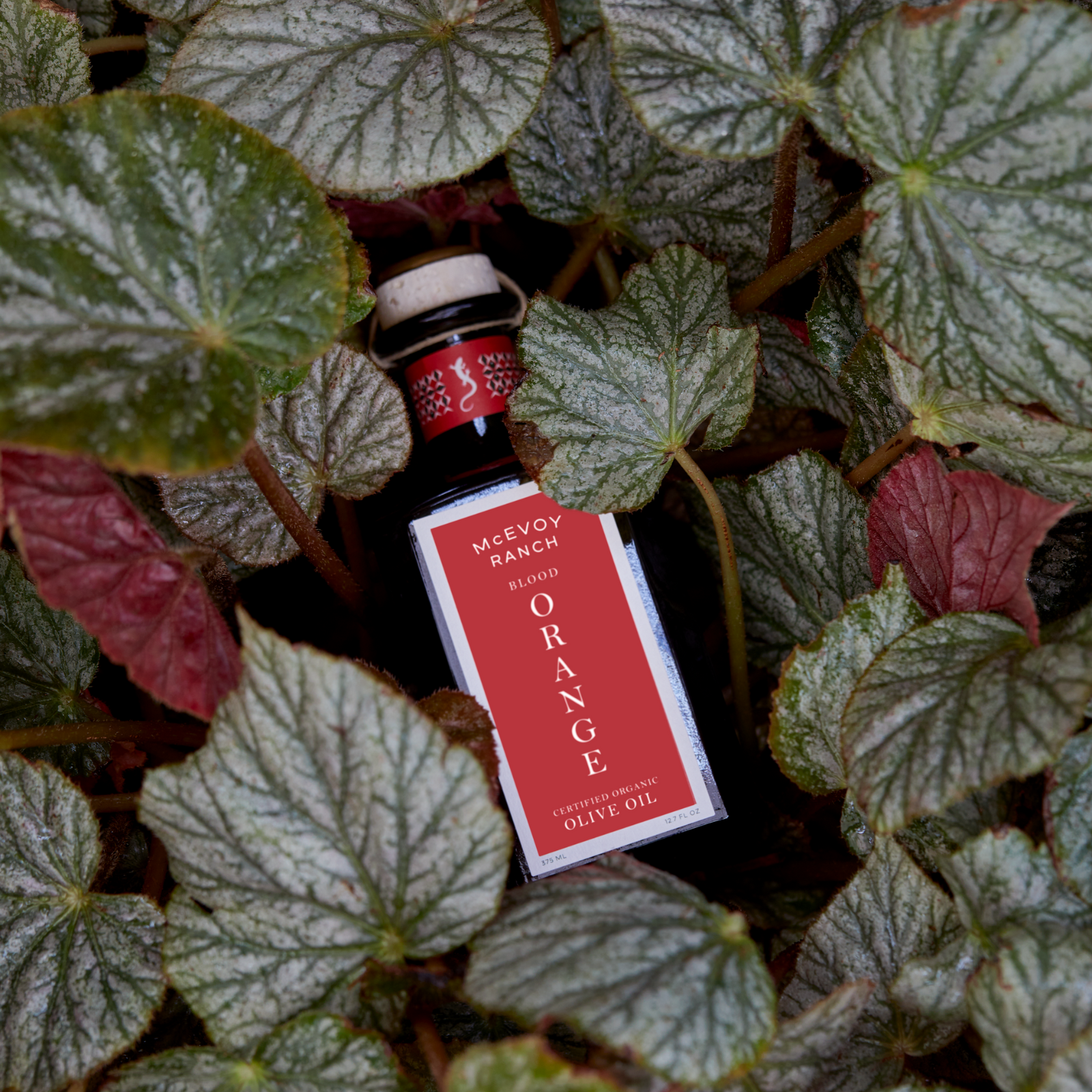 Organic Blood Orange Olive Oil