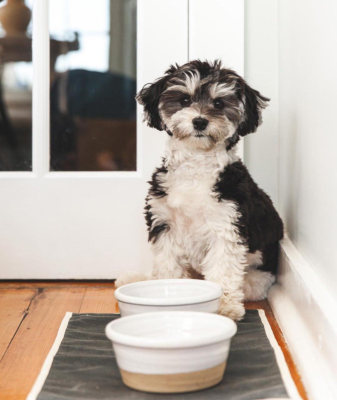 Farmhouse Pottery Farm Dog Bowl