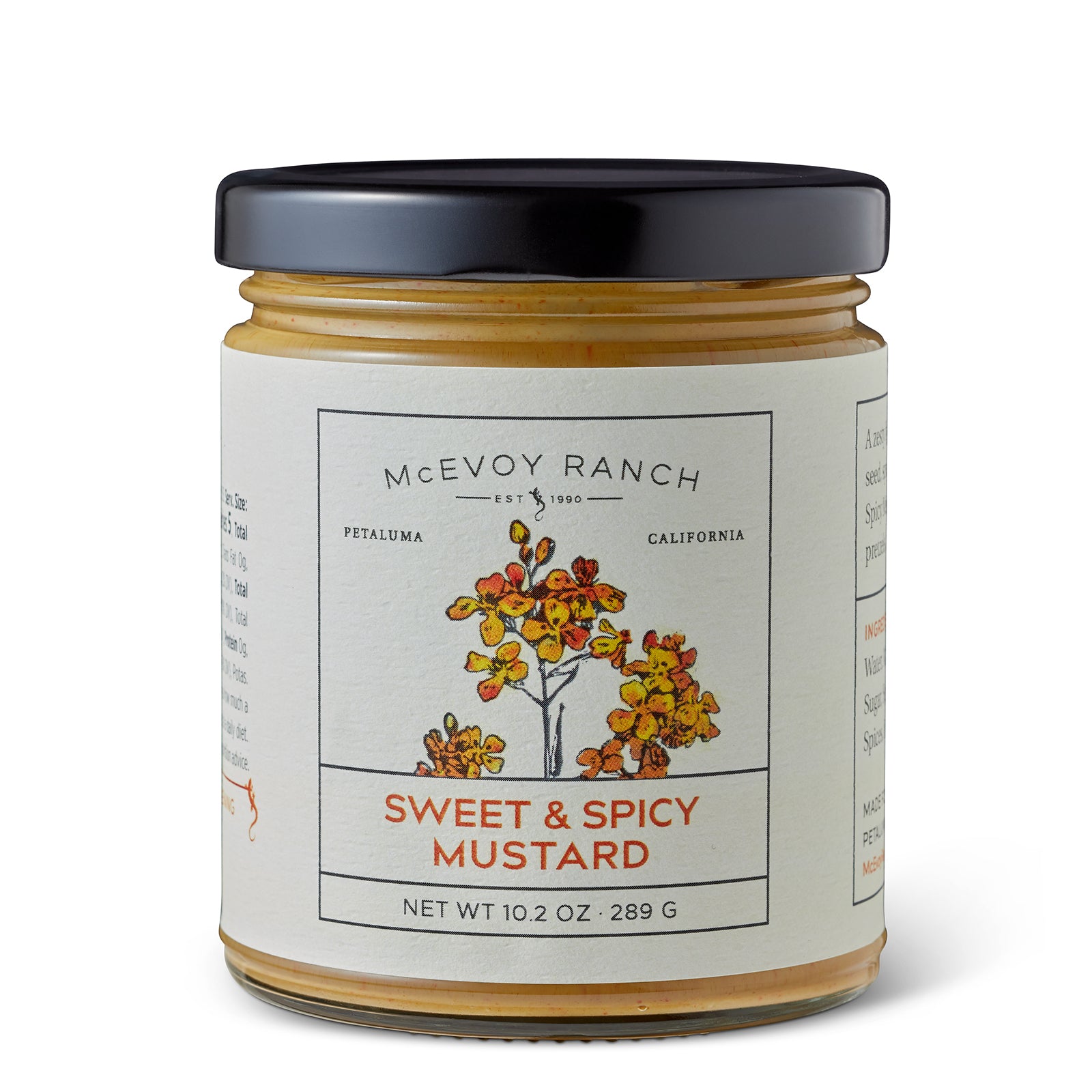 Sweet & Spicy Mustard