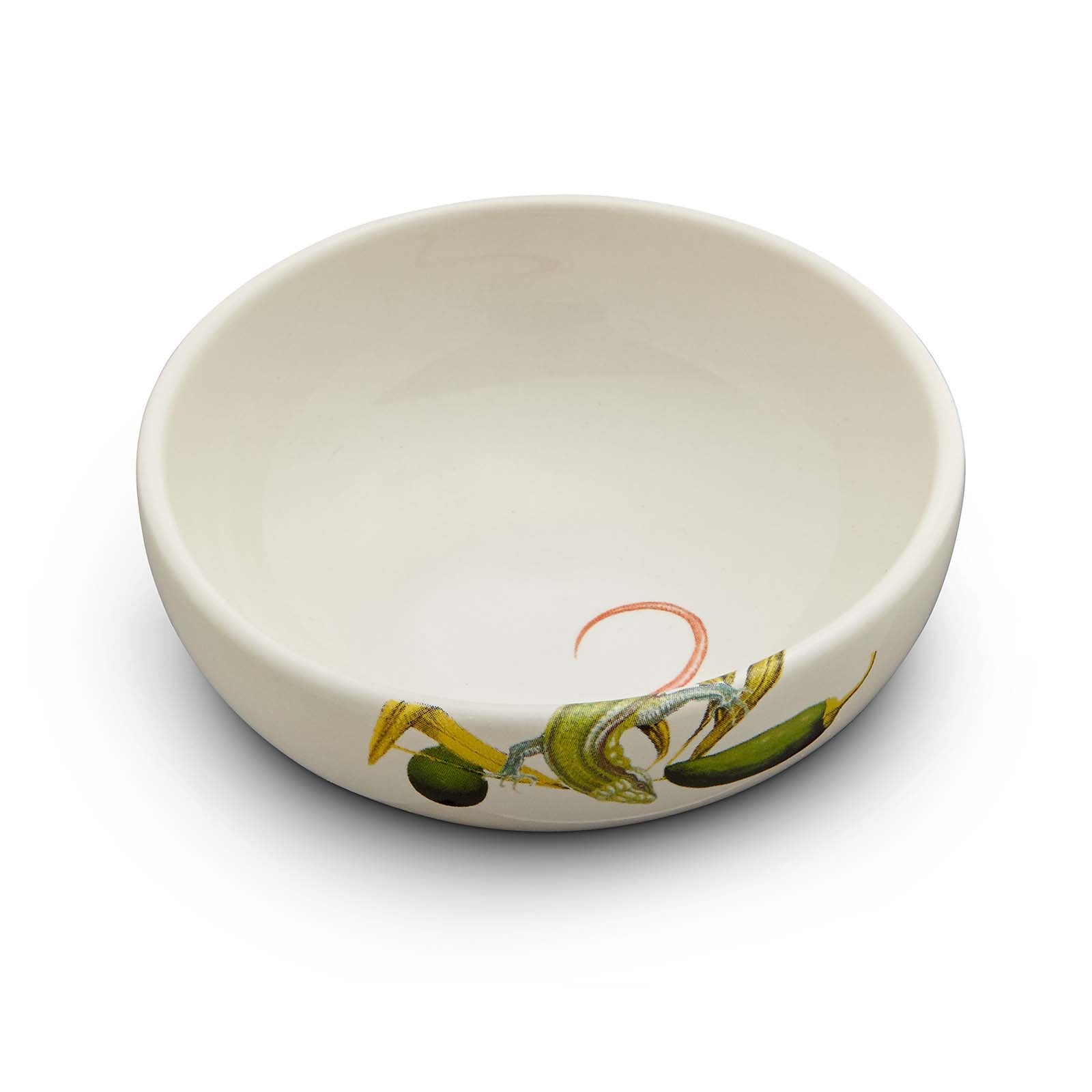 Olive Oil Skink Bowl