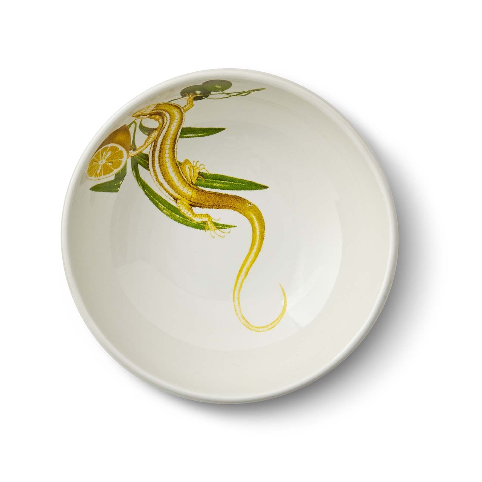 Olive Oil Skink Bowl