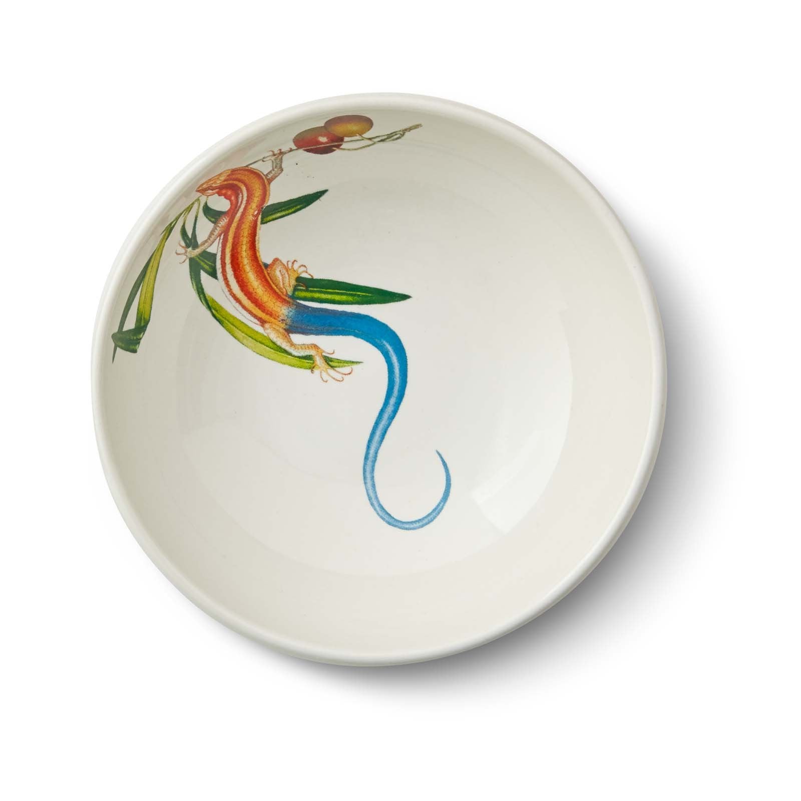 Olive Oil Skink Bowl