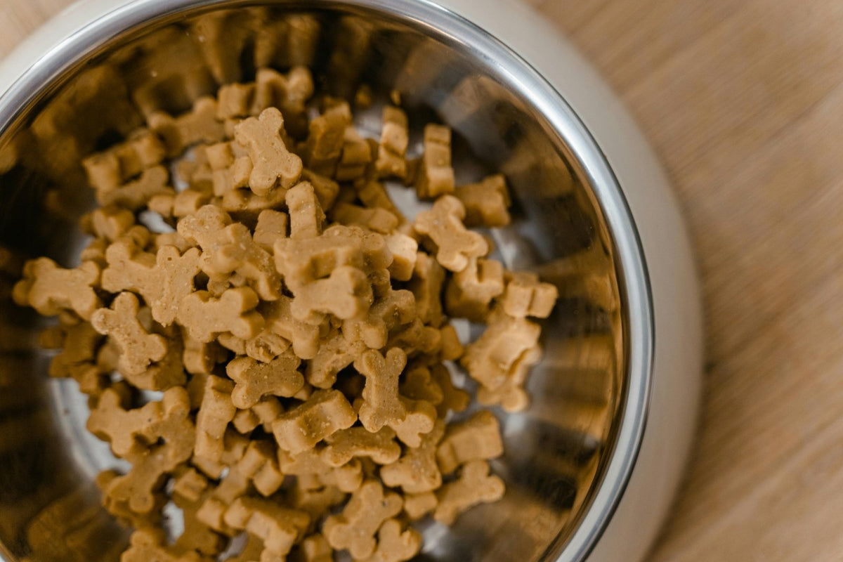 Olive Oil Dog Biscuits