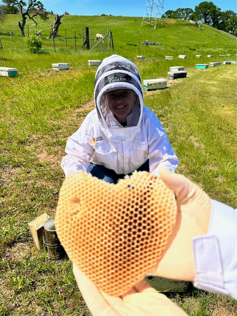 Meet Our Partner: Bee-hind the Scenes with Sola Bee Farms