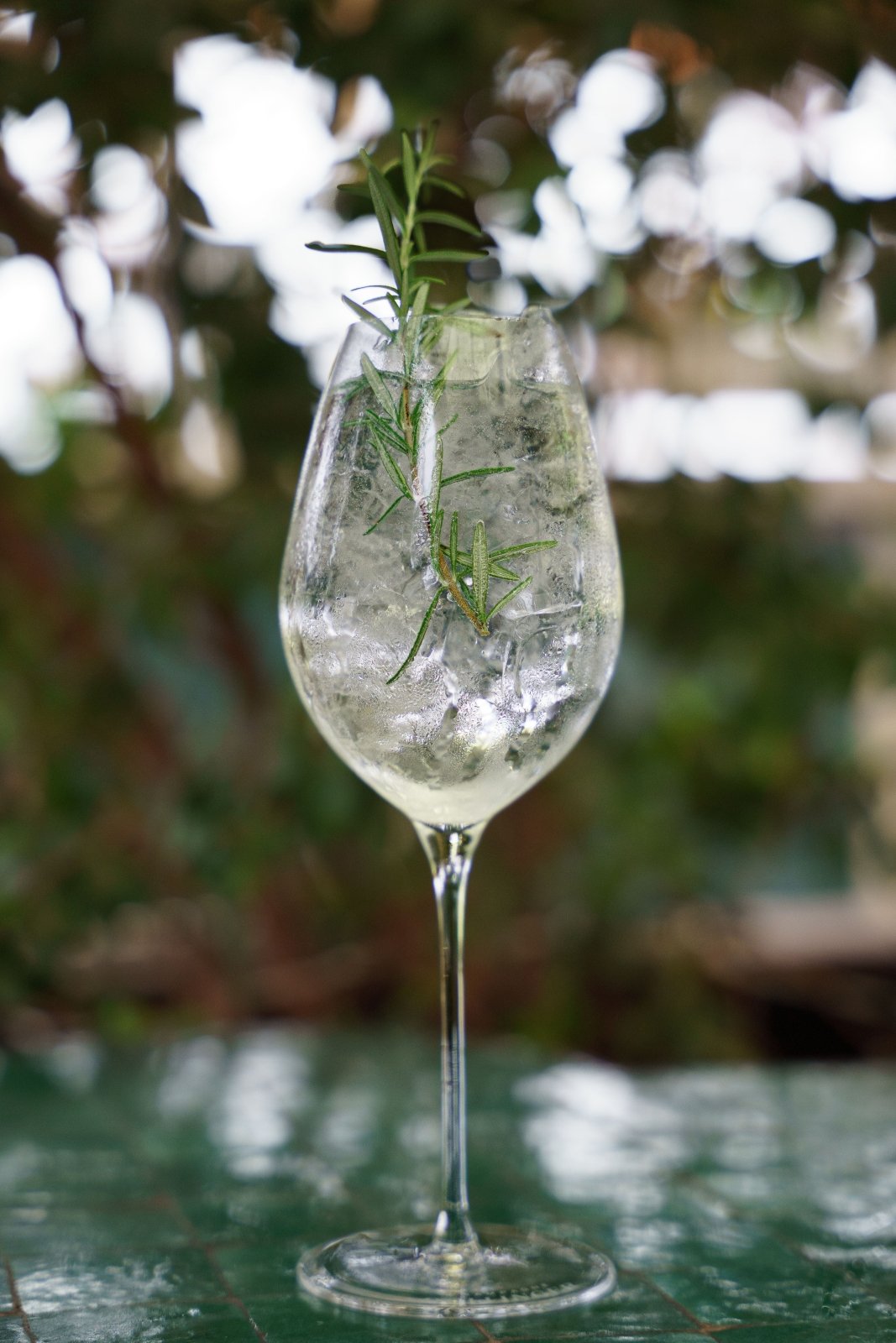 Herbes de Provence Gin & Tonic