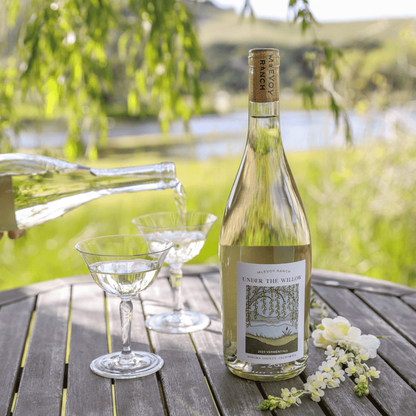 2023 Under the Willow Vermentino