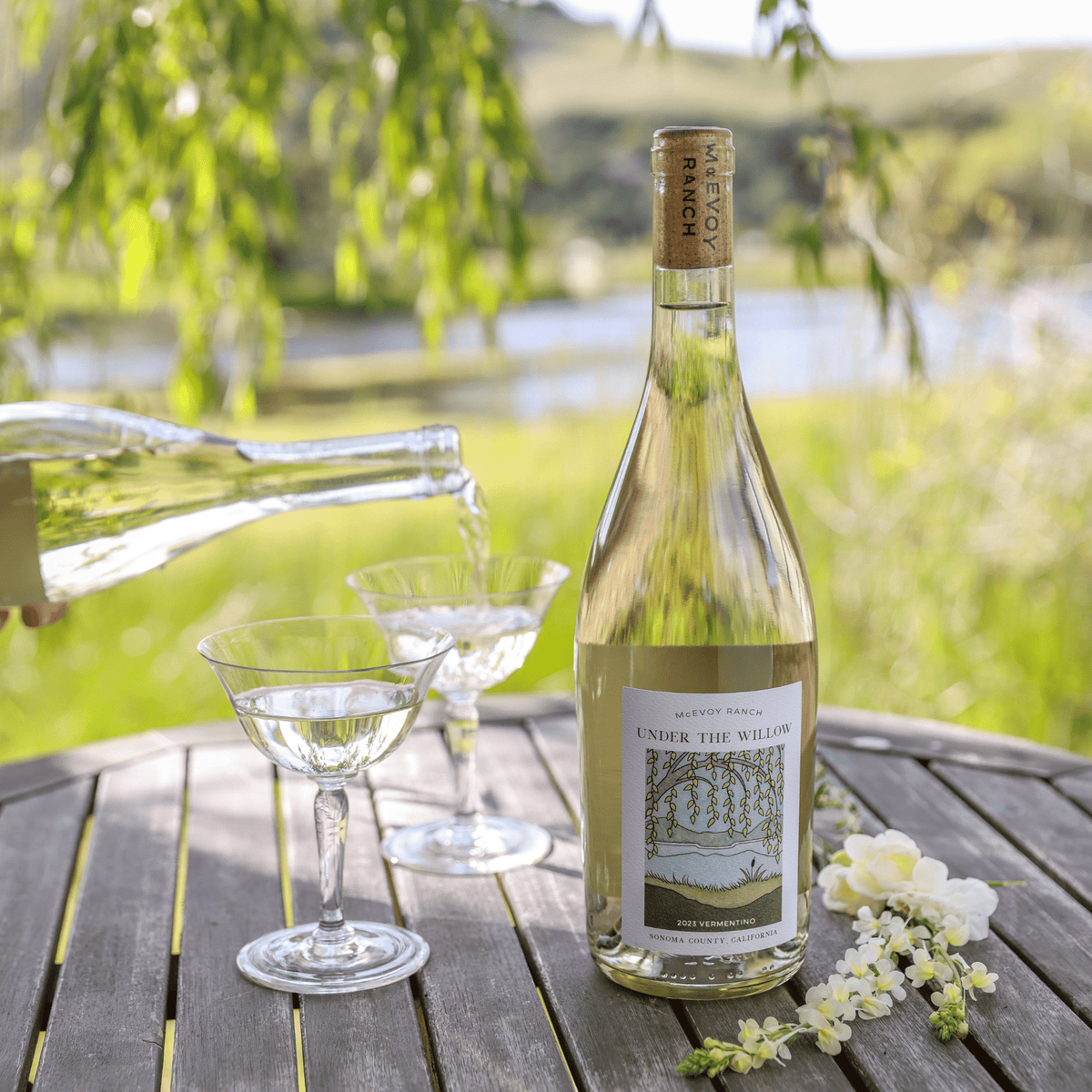 2023 Under the Willow Vermentino