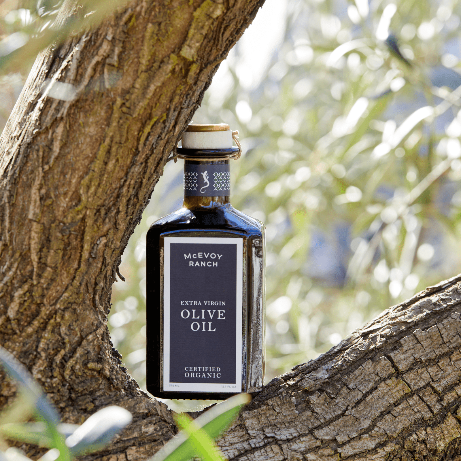 Organic Extra Virgin Olive Oil (Tom Test)