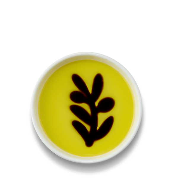 Olive Branch Olive Oil & Vinegar Dipping Dish