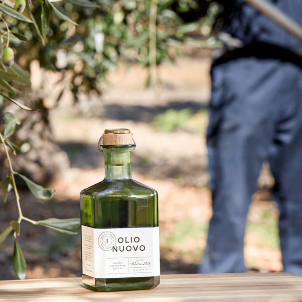 Olive Oil