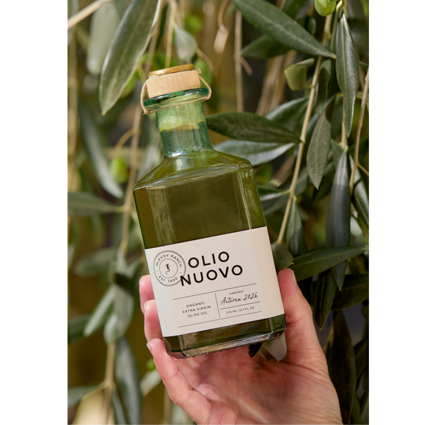 Olive Oil