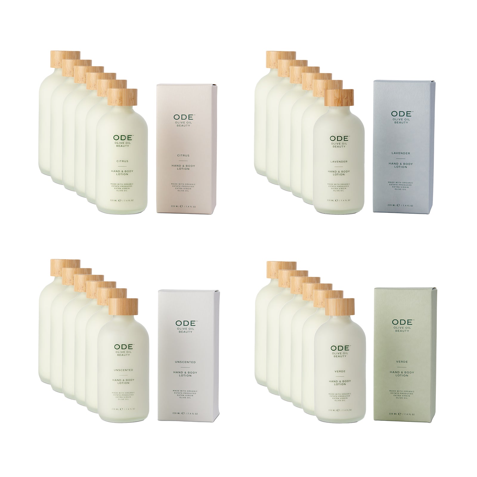Hand & Body Lotion Mixed Case