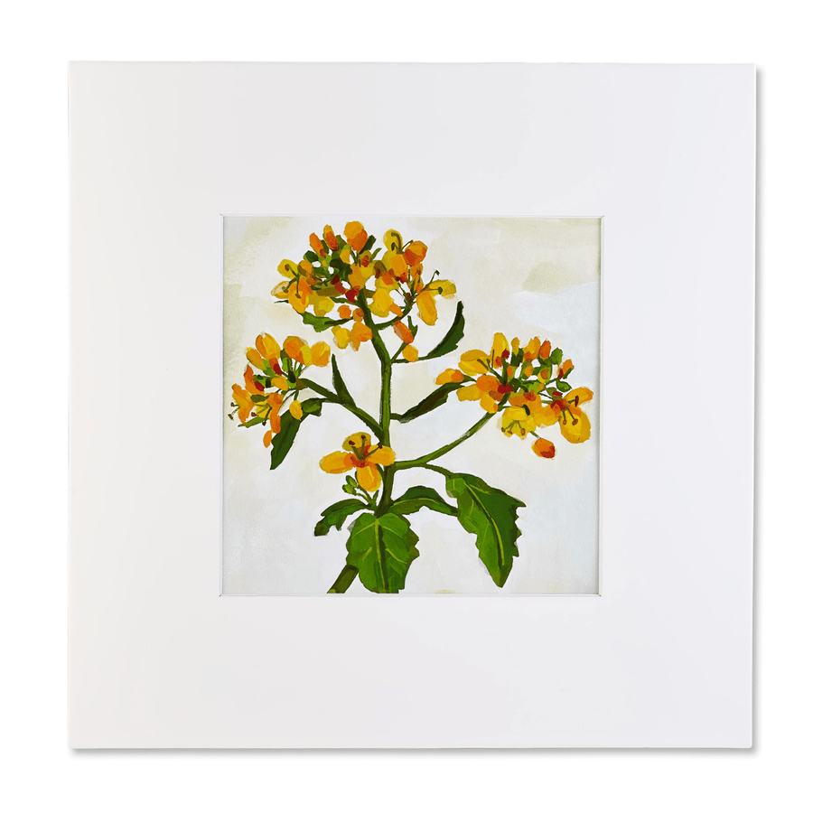 mustard seed flower tattoo Culinary Artist Prints