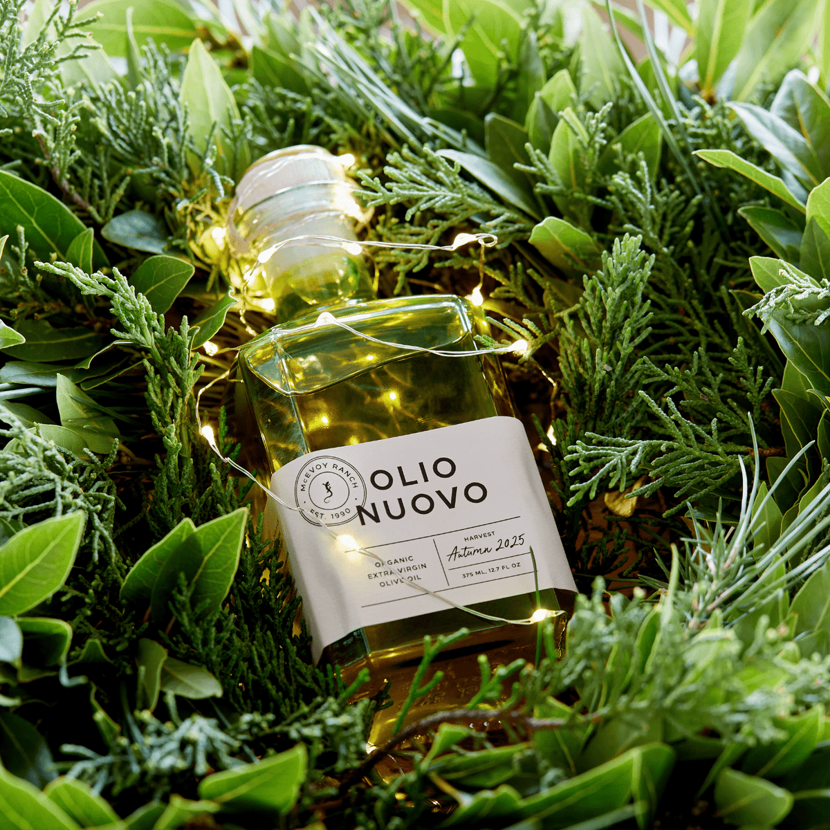 Organic Olio Nuovo Olive Oil