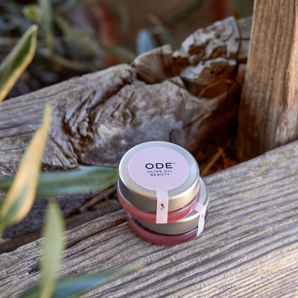 Olive Oil Lip Balm: Kiss of Blush