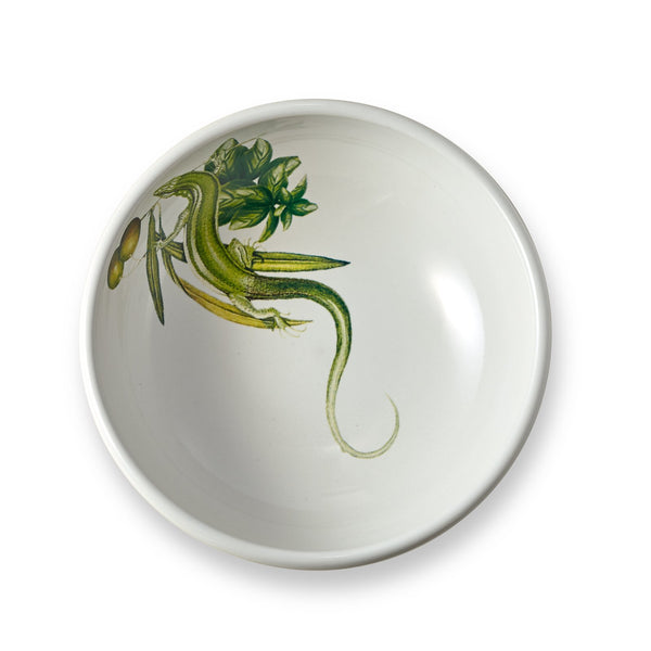 Olive Oil Skink Bowl